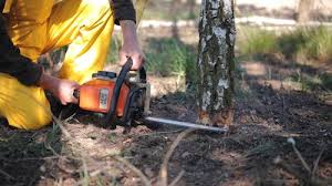 Best Aeration Services  in Miles, TX